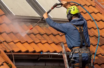 Démoussage et hydrofuge de toiture au Buisson-de-Cadouin